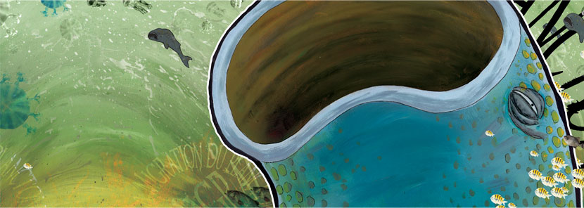 Migration du Plancton